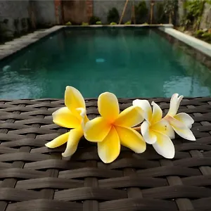 Eka Bali 3* Ubud (Bali)